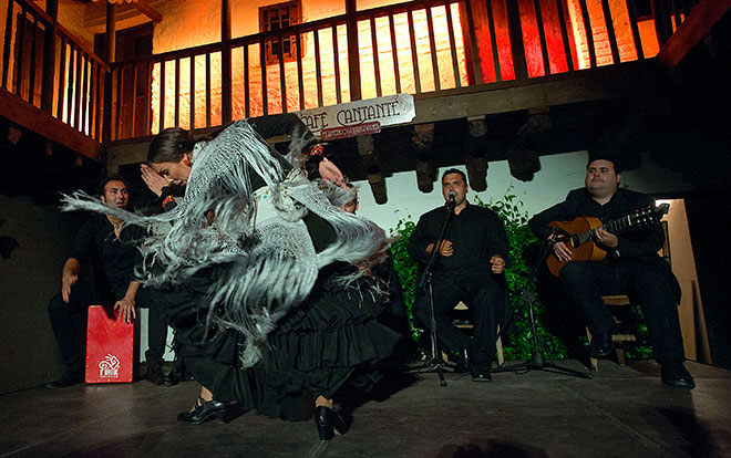 Yolanda Osuna